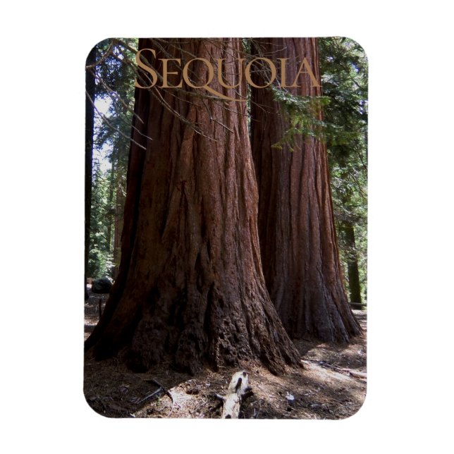 Flexible Sequoia Kings Canyon National Park Magnet (Vertical)