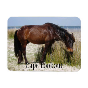 Flexible Shackleford Bank Wild Horse Magnet