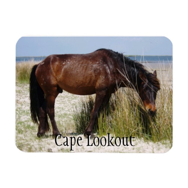 Flexible Shackleford Bank Wild Horse Magnet (Horizontal)