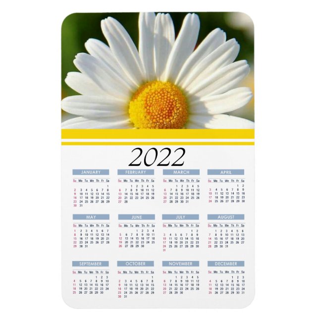 Flexible Shasta Daisy | Magnet Calendrier floral 2022 (Vertical)