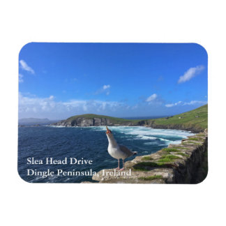 Flexible Slea Head Drive, Dingle Peninsula, Irlande Magnet