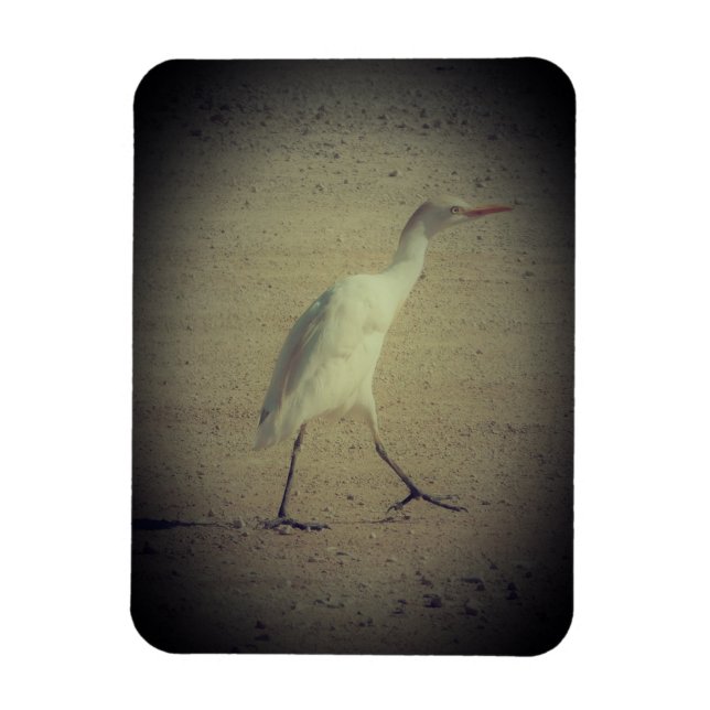 FLEXIBLE STYLES DE MAGNET ART&DESIGN DÉCORATION (Vertical)