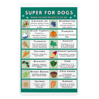 Flexible Super Foods for Dogs Fridge Magnet