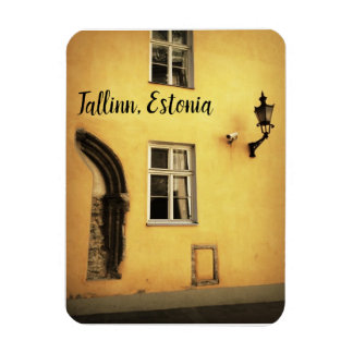 Flexible Tallinn, Estonie Magnet