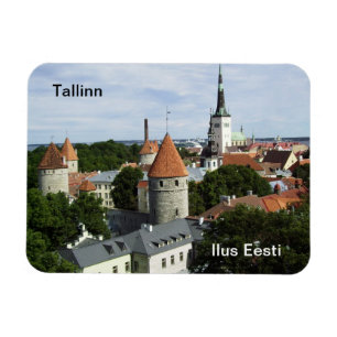 Flexible Tallinn Magnet - Vieille Ville