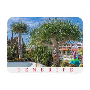 Flexible Tenerife trees fridge magnet