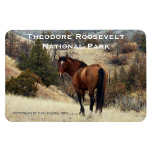 Flexible Theodore Roosevelt NP Magnet souvenir