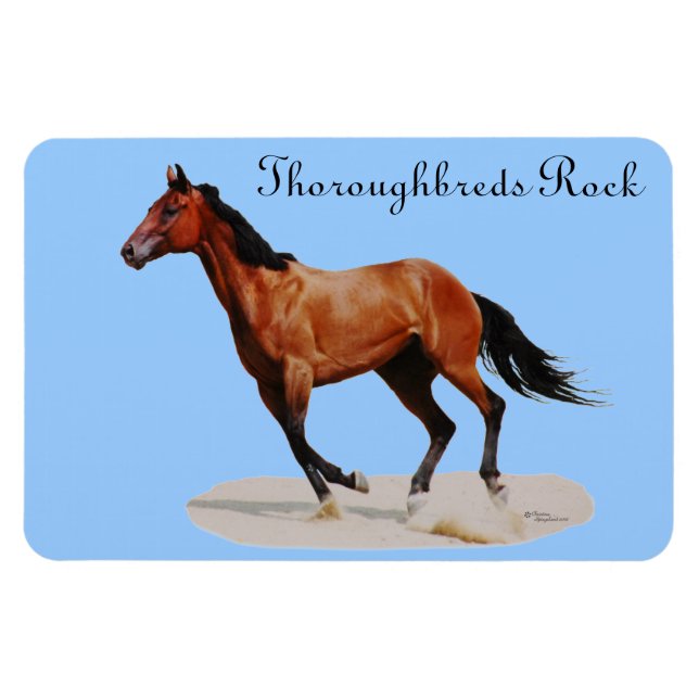 Flexible Thoroughbreds Rock Premium Magnet (Horizontal)