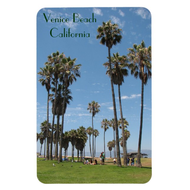 Flexible Venice Beach Premium Magnet ! (Vertical)