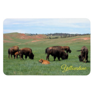 Flexible Yellowstone Magnet