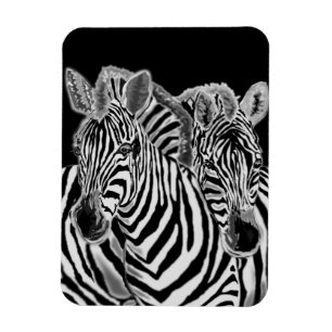 Flexible Zebra Couple Magnet