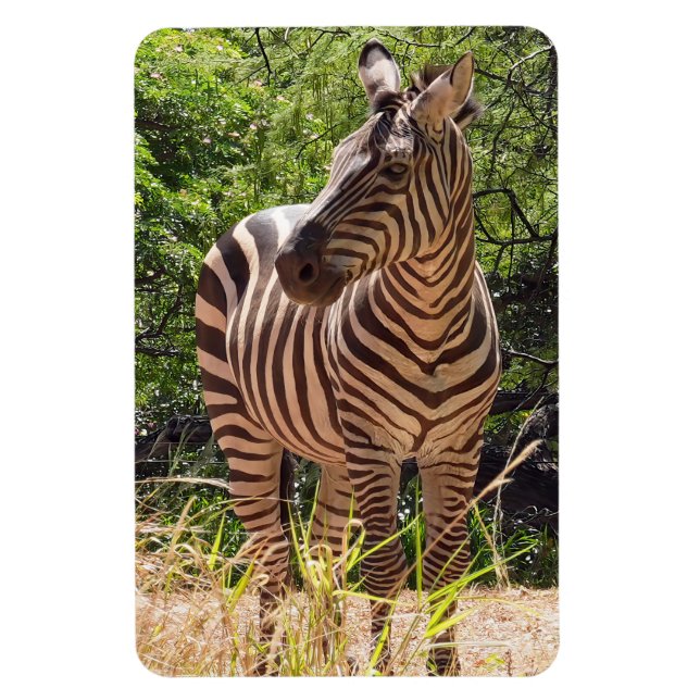 Flexible Zebra Photo Magnet (Vertical)