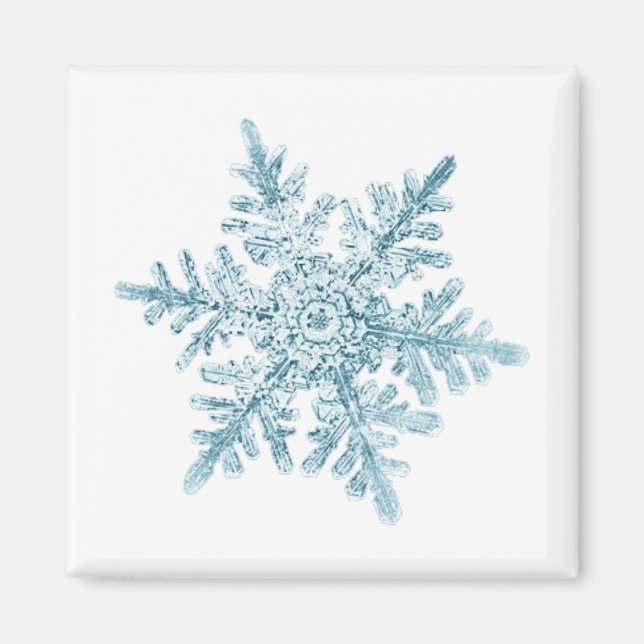 Flocon de neige aimant (Devant)