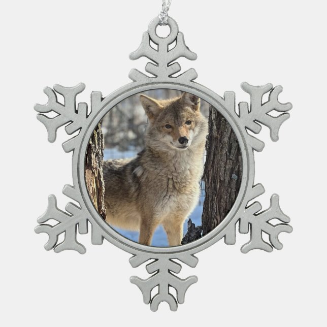 Flocon De Neige Ornement encadré Wild Paws Daphne Snowflake (Devant)