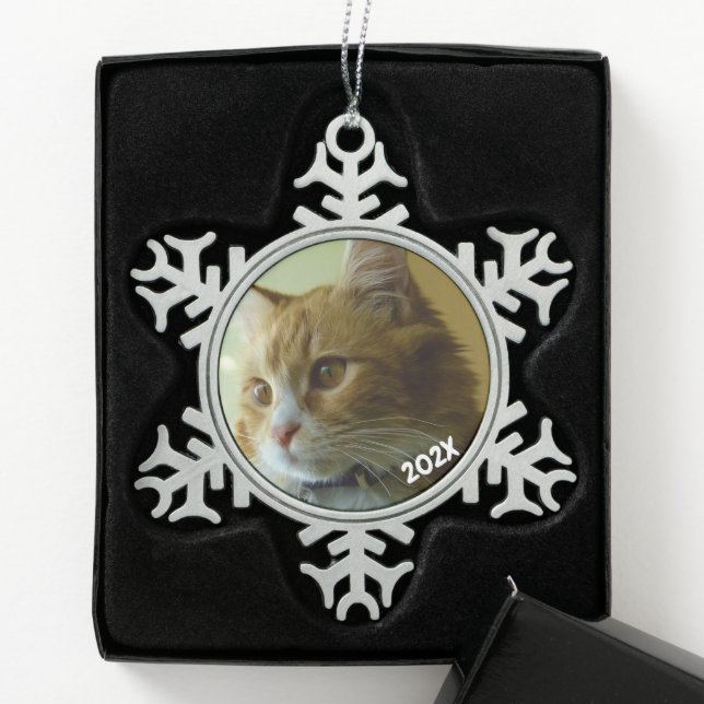 Flocon De Neige Snowflake classique Photo Datée Ornement d'arbre d (Boîte)