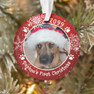 Flocons de neige de Noël pour chien 2 Photo Rouge