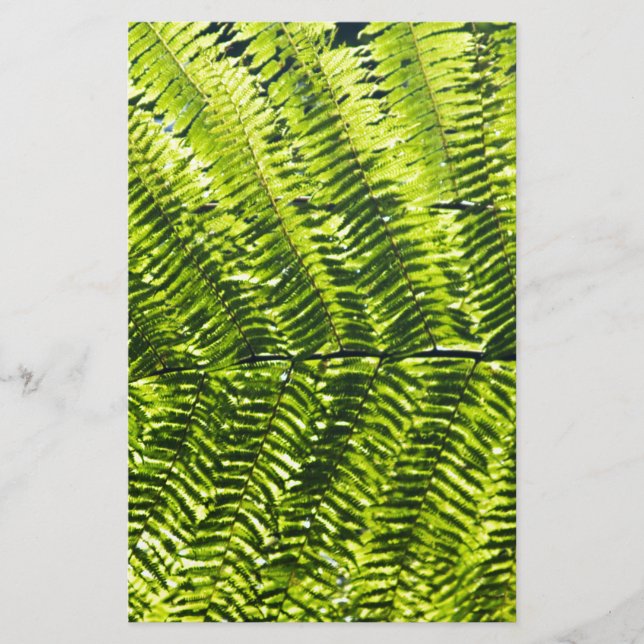 Flora Dominique 5 (Devant)