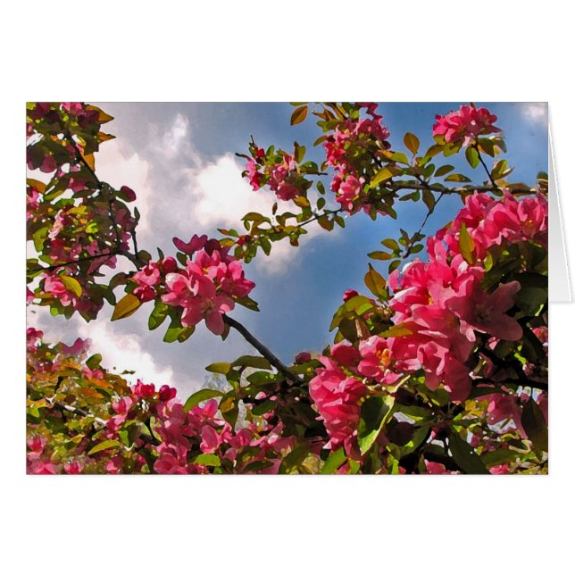 Floraison de pommes de terre (Devant horizontal)
