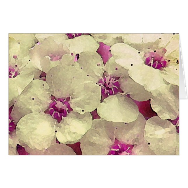 Floral blanc et rose (Devant horizontal)