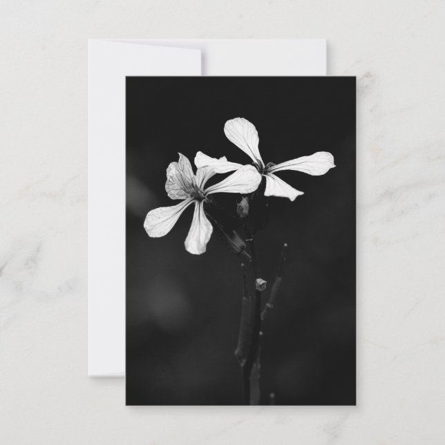 floral noir et blanc minimal (Devant)
