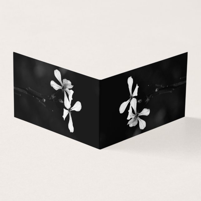 floral noir et blanc minimal (Outside)