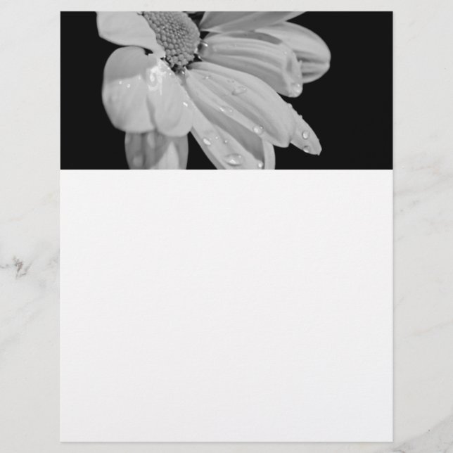 Floral Paisible (Devant)