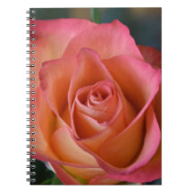 Floral Peach Rose Journal ou Carnet