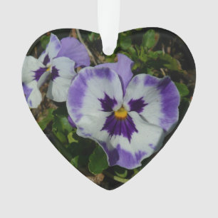 Floral Purple and White Pansies