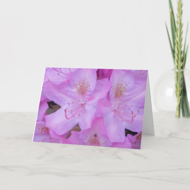 Floral rose toutes cartes de voeux d'occasion (Devant)