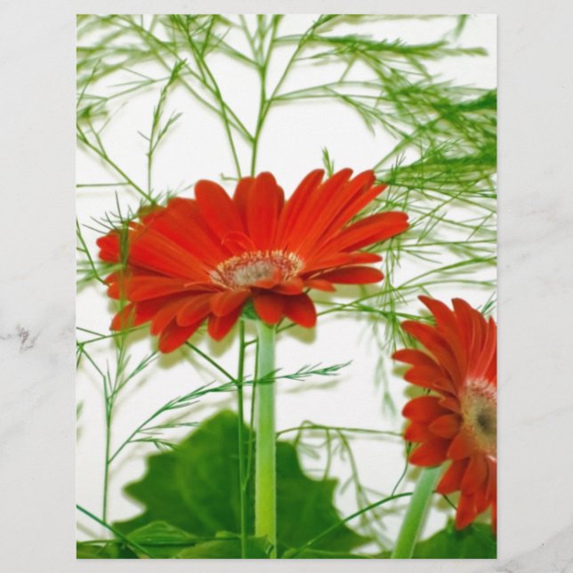 Floral rouge (Devant)