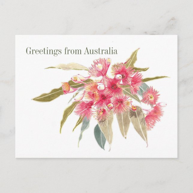 Floral Salutations de l'Australie Holiday Carte po (Devant)