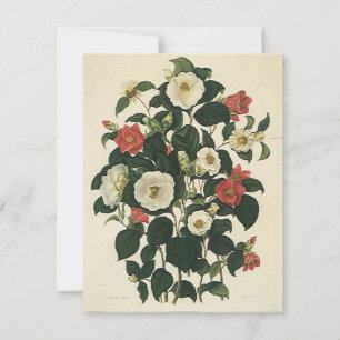 Floral vintage, Jardin antique Fleurs Roses