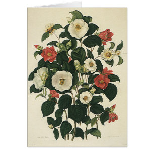 Floral vintage, Jardin antique Fleurs Roses