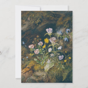 Flore alpine Theodor Petter