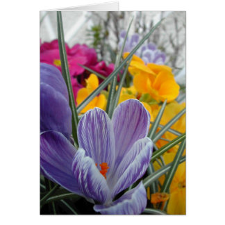 flore pour le ressort #3