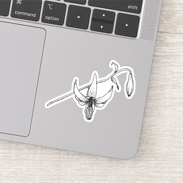 Flore printanière | Columbia Lily | Autocollant bo (Détail)