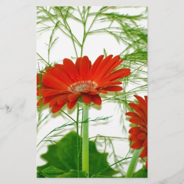 Flore rouge (Devant)