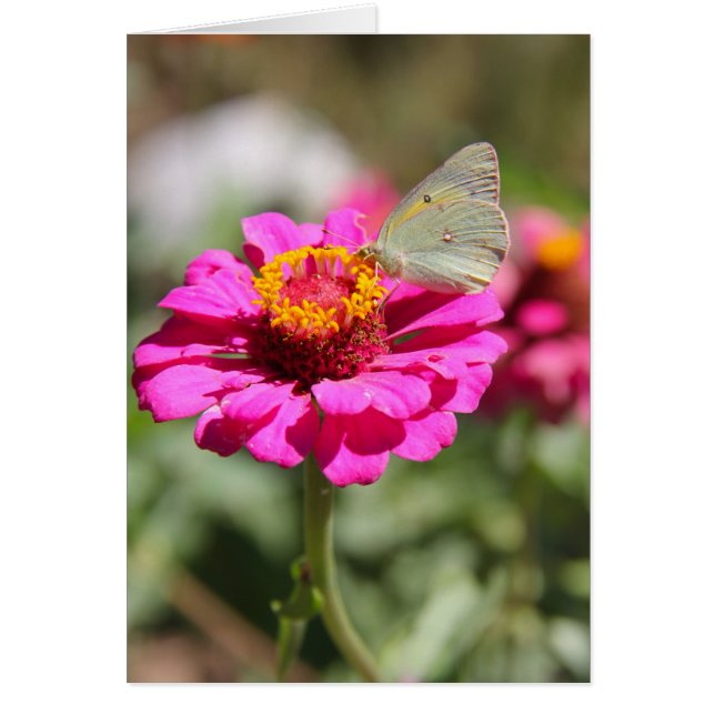 Flores en mi hierbas " fleurs dans mes mauvaises h (Devant)