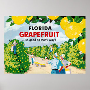 Florida Grapefruit 1930 Poster vintage