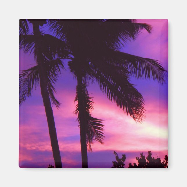 Florida Palm Sunset Magnet (Devant)