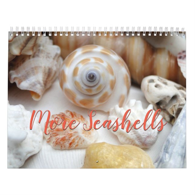 Florida Seashell Calendrier de la photographie Vol (Protection)