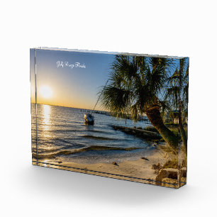 Floride Arbre de palmiers incliné Bloc photo couch