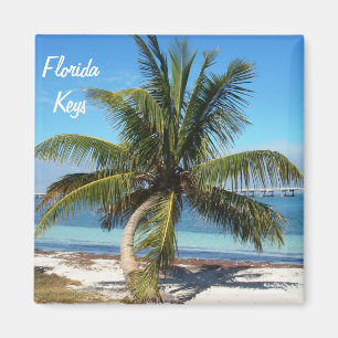 Floride Keys Bahia Honda State Park Palm Magnet