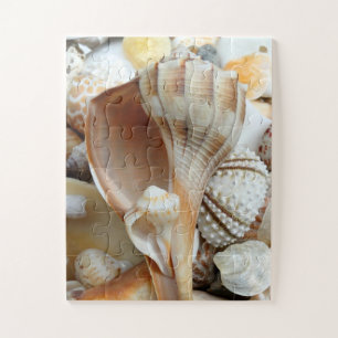 Floride Lightning Whelk Enfants Seashells Puzzle