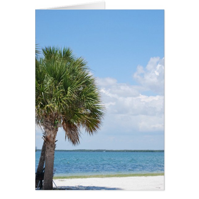 Floride - plage calme (Devant)