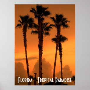 Floride Tropical Paradise Sunset Poster Photo