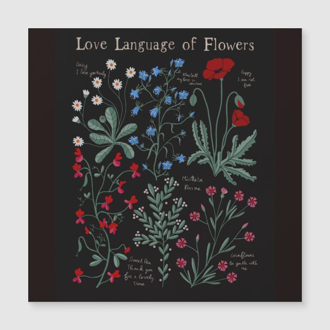 Floriographe Amour langue des fleurs botanique (Devant)