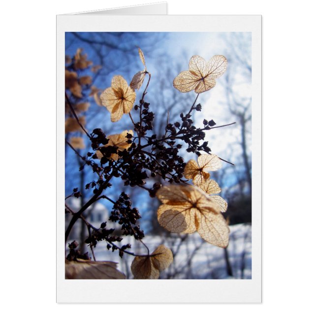 Flottement (Devant)