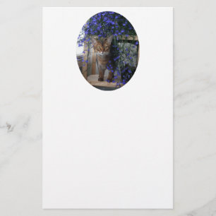 Flower Cat Oval