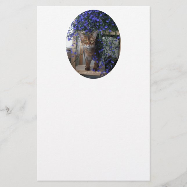 Flower Cat Oval (Devant)